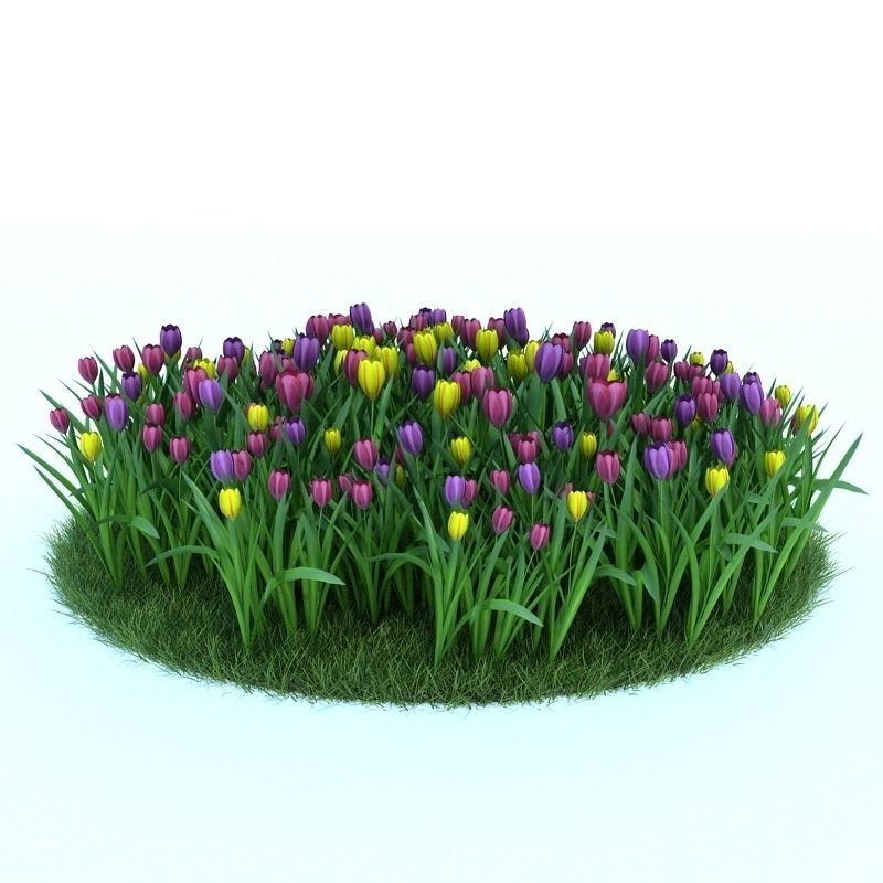 Archmodels vol 86 - Realistic Garden Plants Collection 3D model_48