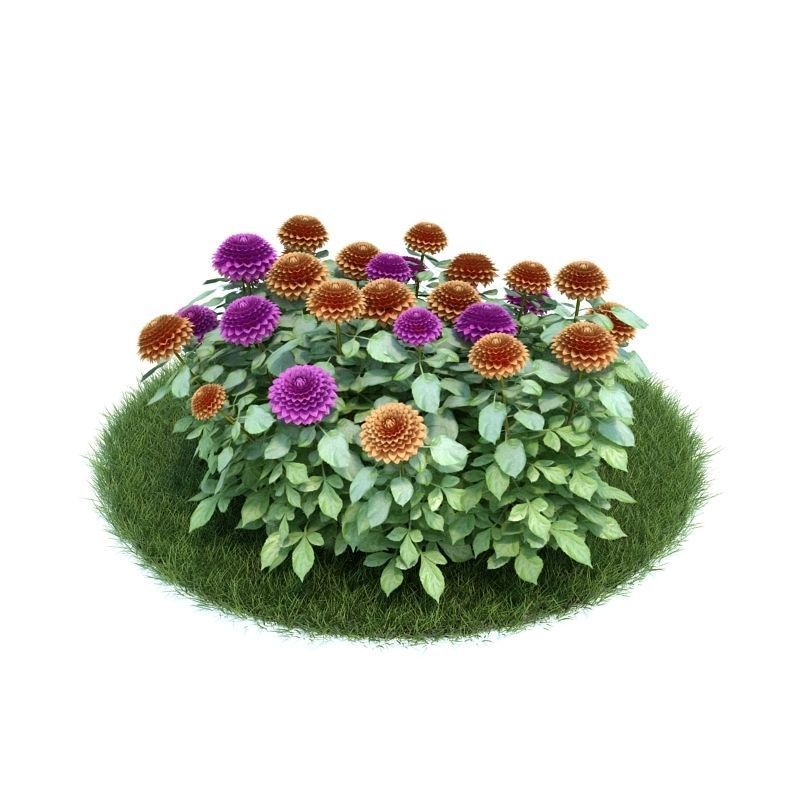 Archmodels vol 86 - Realistic Garden Plants Collection 3D model_21