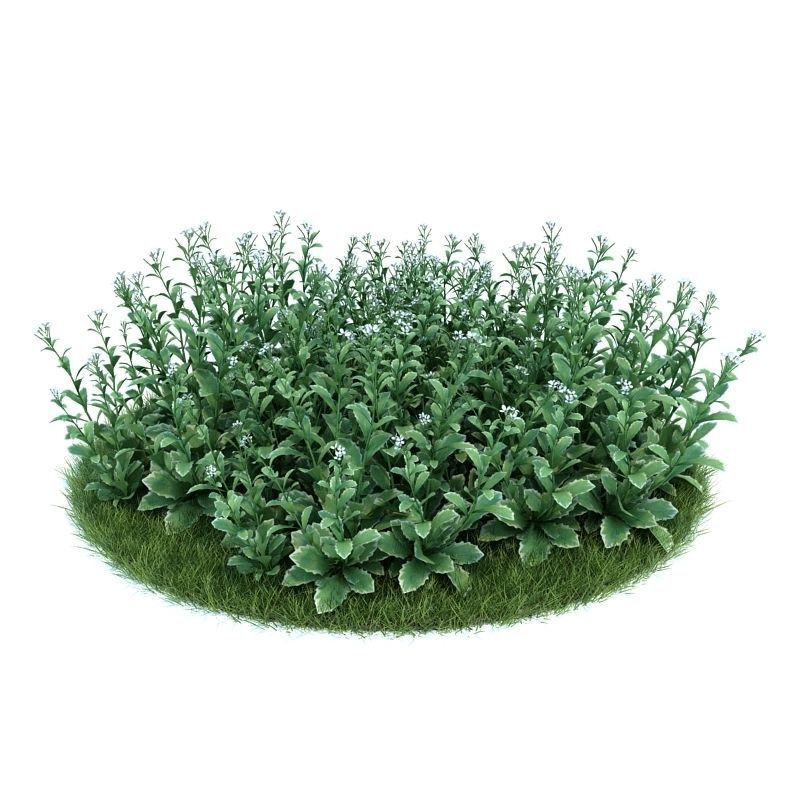 Archmodels vol 86 - Realistic Garden Plants Collection 3D model_6