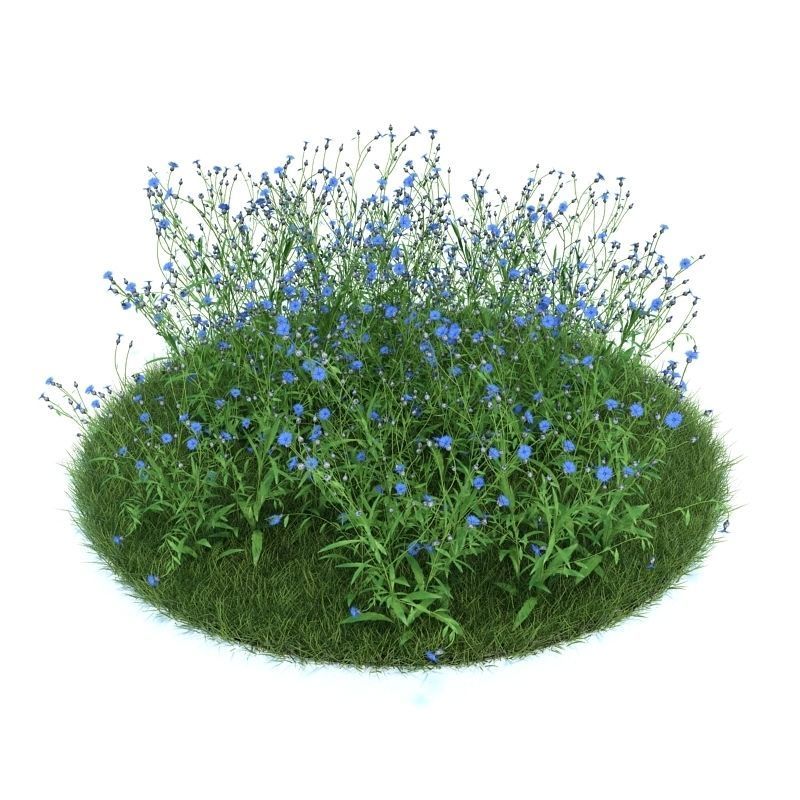 Archmodels vol 86 - Realistic Garden Plants Collection 3D model_14