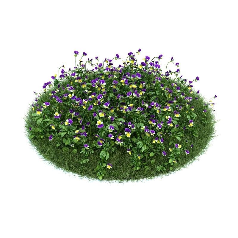 Archmodels vol 86 - Realistic Garden Plants Collection 3D model_50