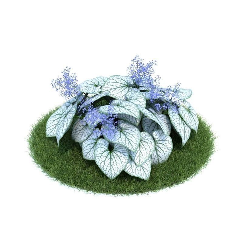 Archmodels vol 86 - Realistic Garden Plants Collection 3D model_12