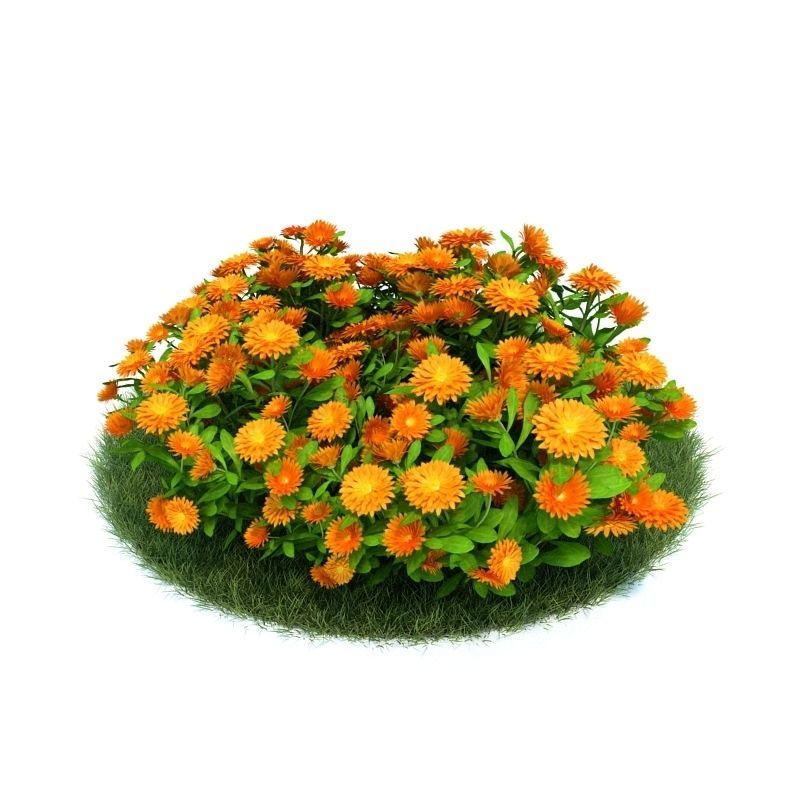 Archmodels vol 86 - Realistic Garden Plants Collection 3D model_13