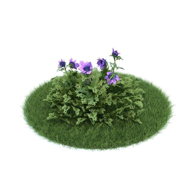 Archmodels vol 86 - Realistic Garden Plants Collection 3D model_3