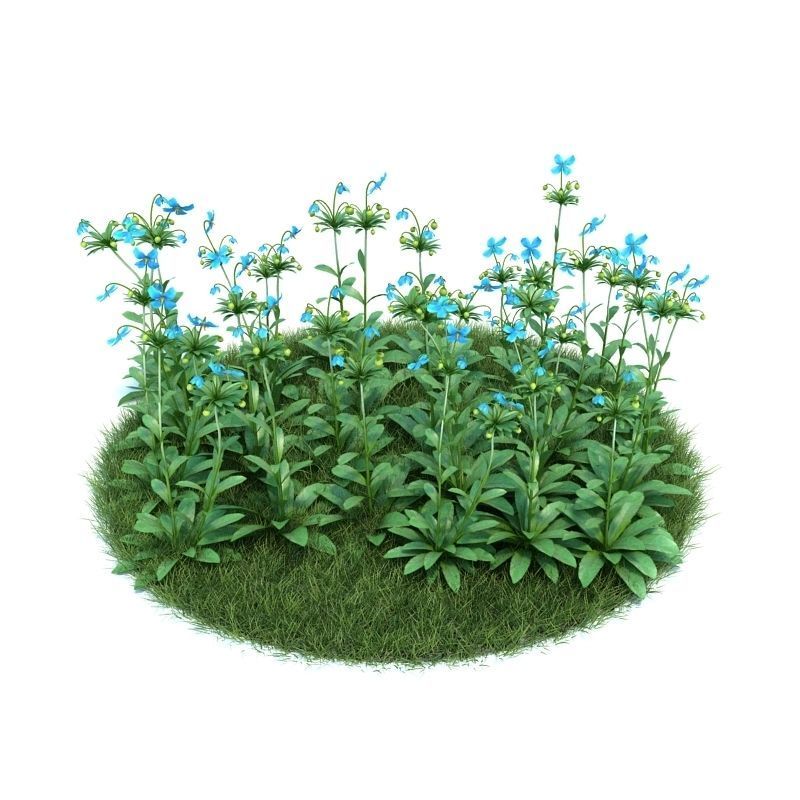 Archmodels vol 86 - Realistic Garden Plants Collection 3D model_38