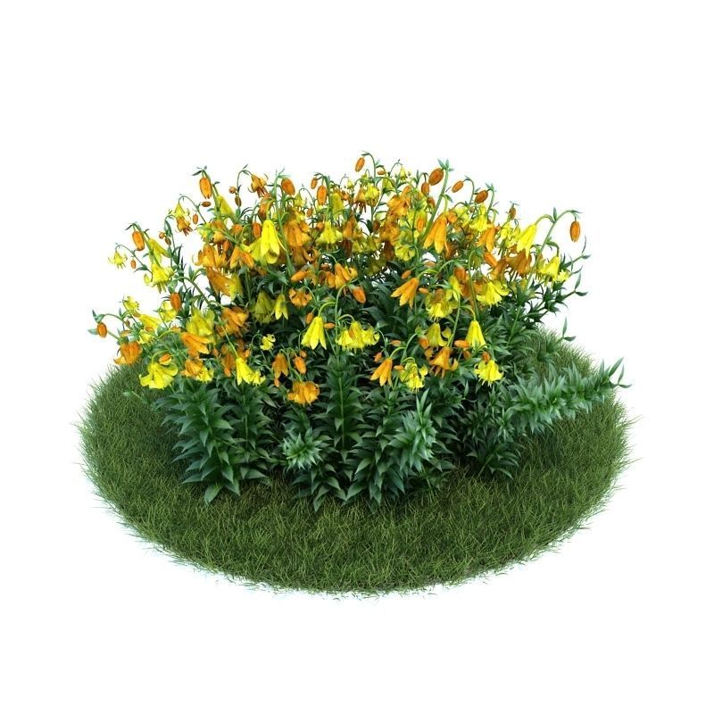 Archmodels vol 86 - Realistic Garden Plants Collection 3D model_36