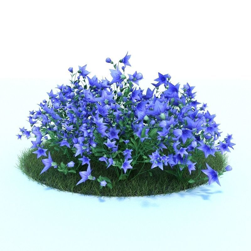 Archmodels vol 86 - Realistic Garden Plants Collection 3D model_43