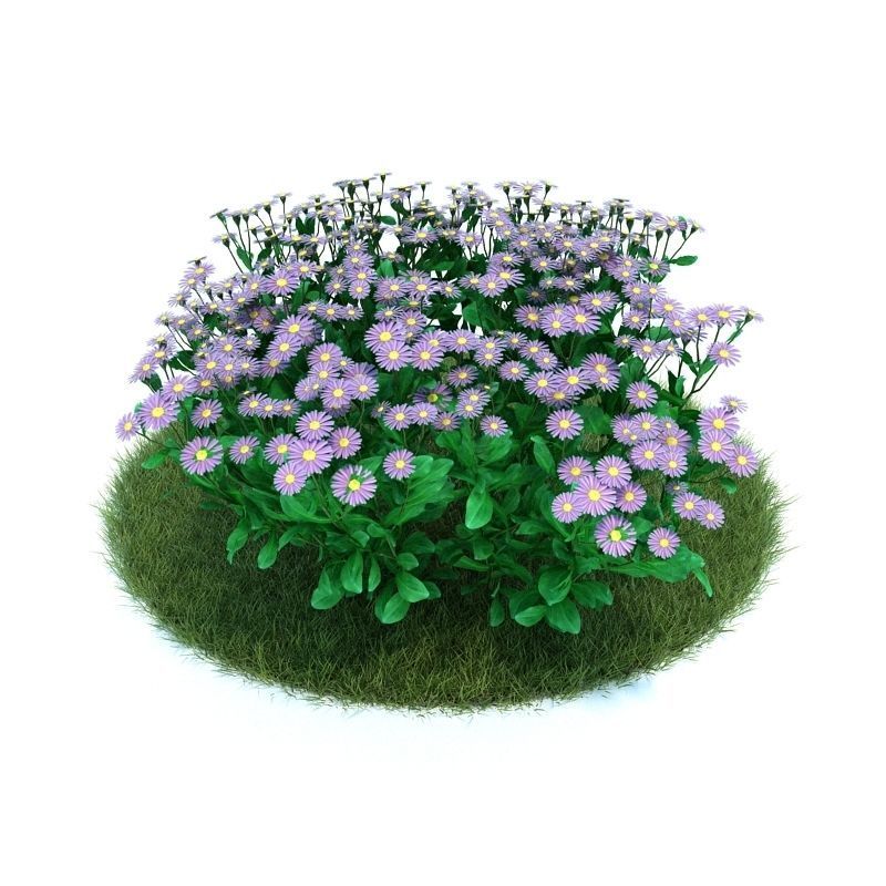 Archmodels vol 86 - Realistic Garden Plants Collection 3D model_8