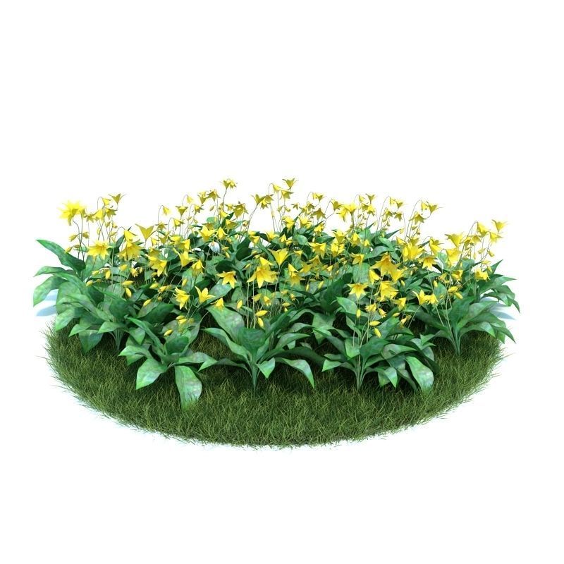 Archmodels vol 86 - Realistic Garden Plants Collection 3D model_25