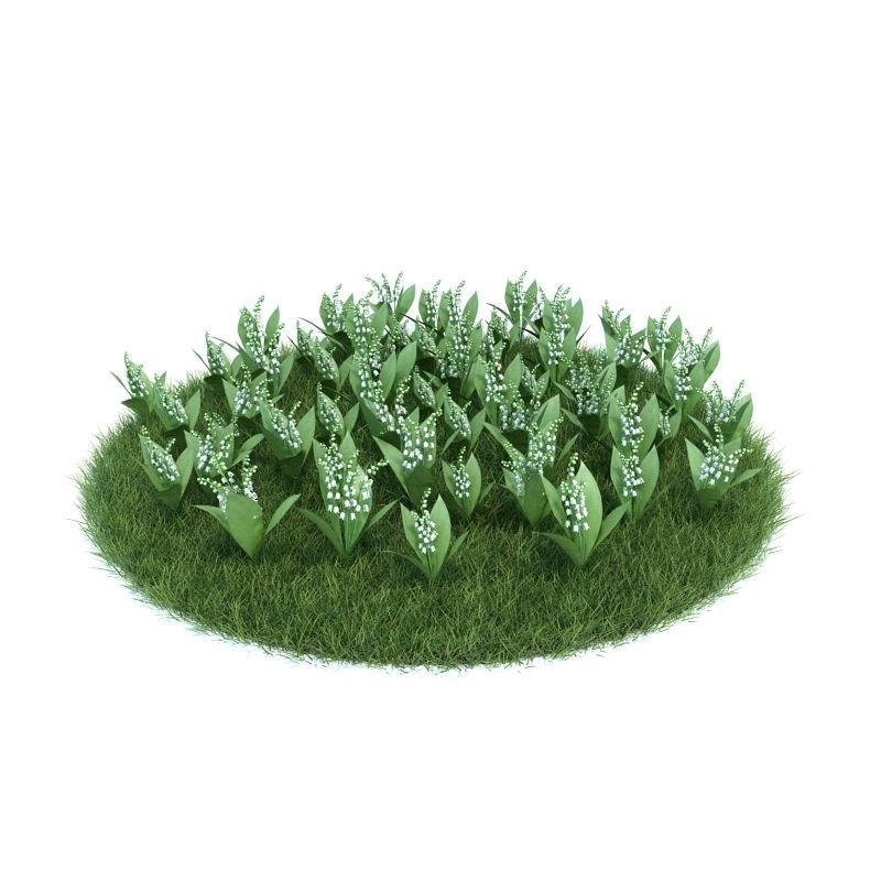 Archmodels vol 86 - Realistic Garden Plants Collection 3D model_16