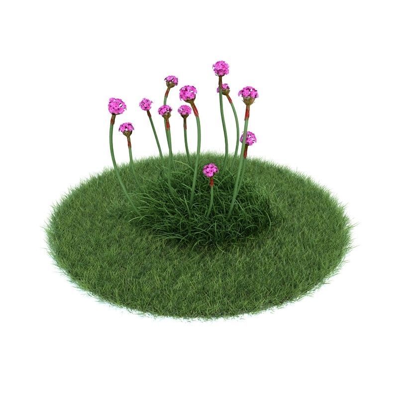 Archmodels vol 86 - Realistic Garden Plants Collection 3D model_7