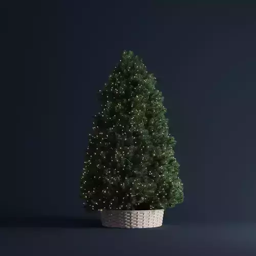 Trees Christmas