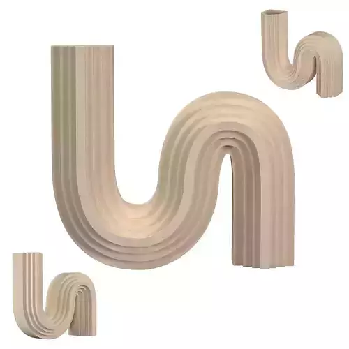 Curve Vase 3D model