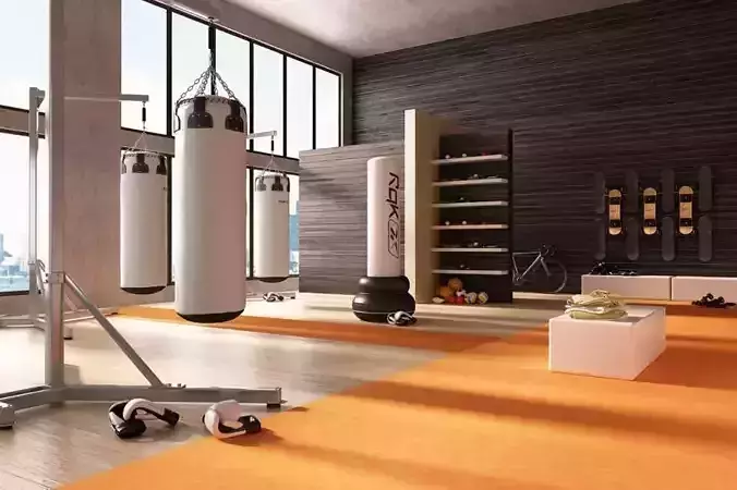 Sport Equipment Collection