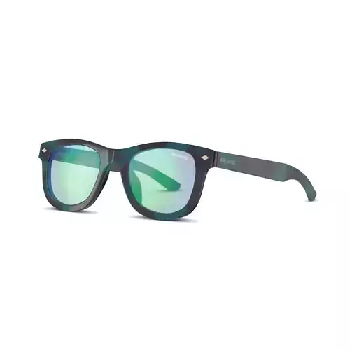 Polaroid - PLD 8009 Sunglasses Low-poly 3D model