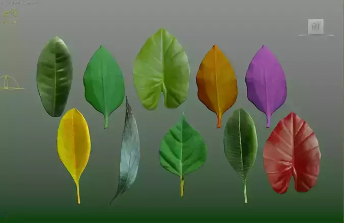  CG resources  leaves  yellow leaves fall leaves 