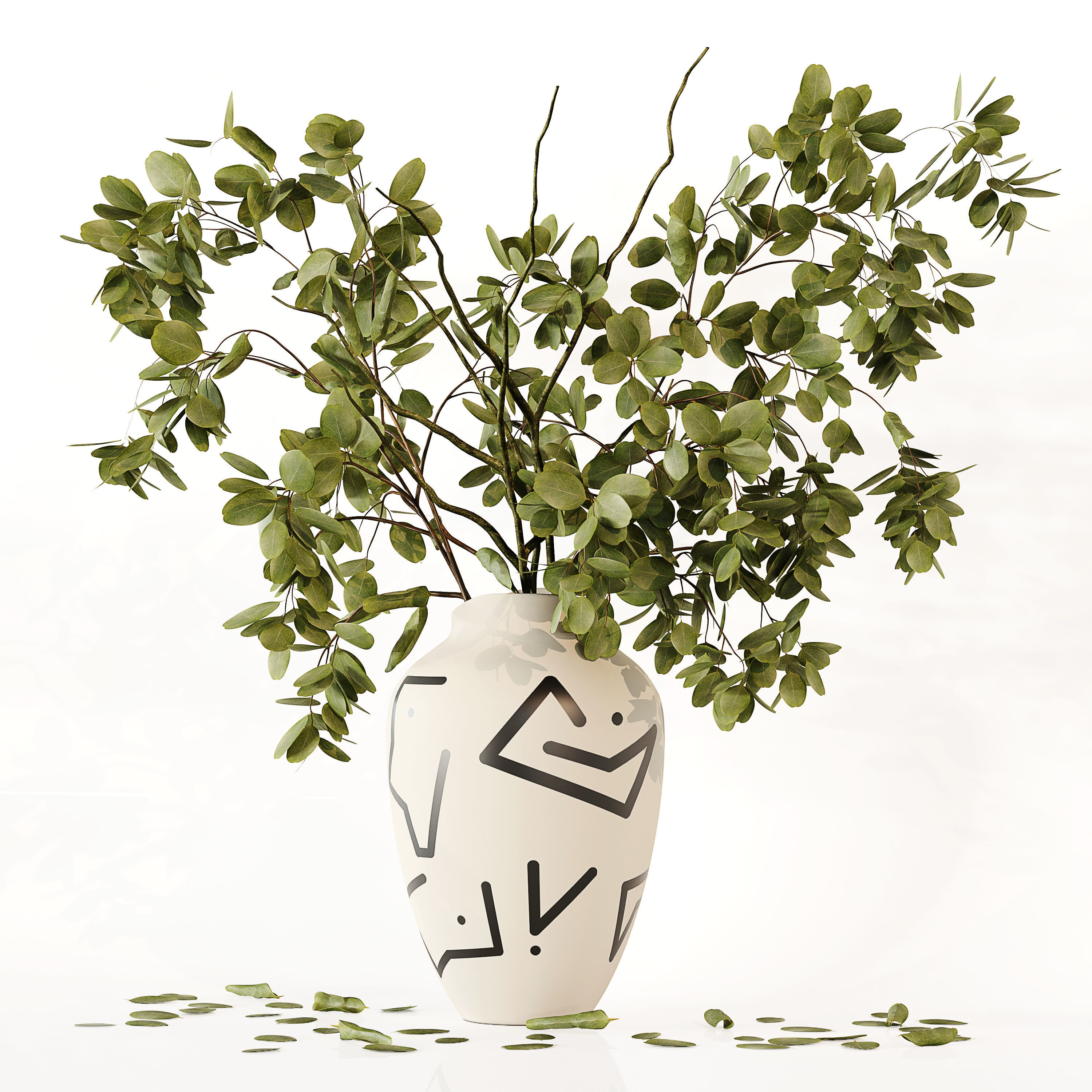 Eucalyptus Plant 3D model_1