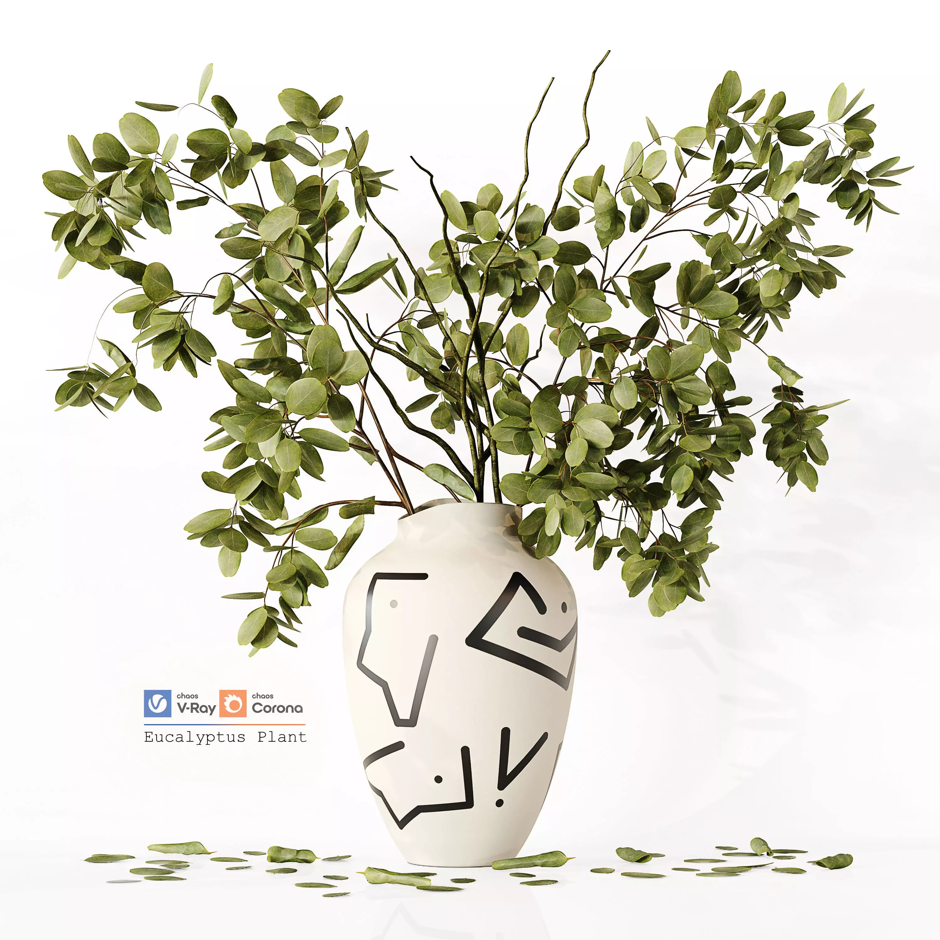 Eucalyptus Plant 3D model_0