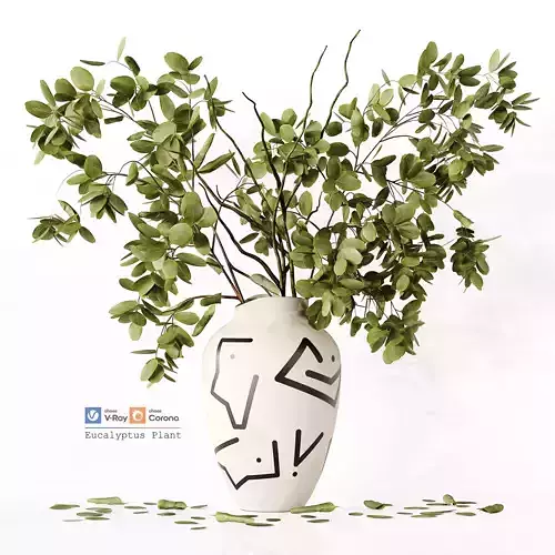 Eucalyptus Plant 3D model