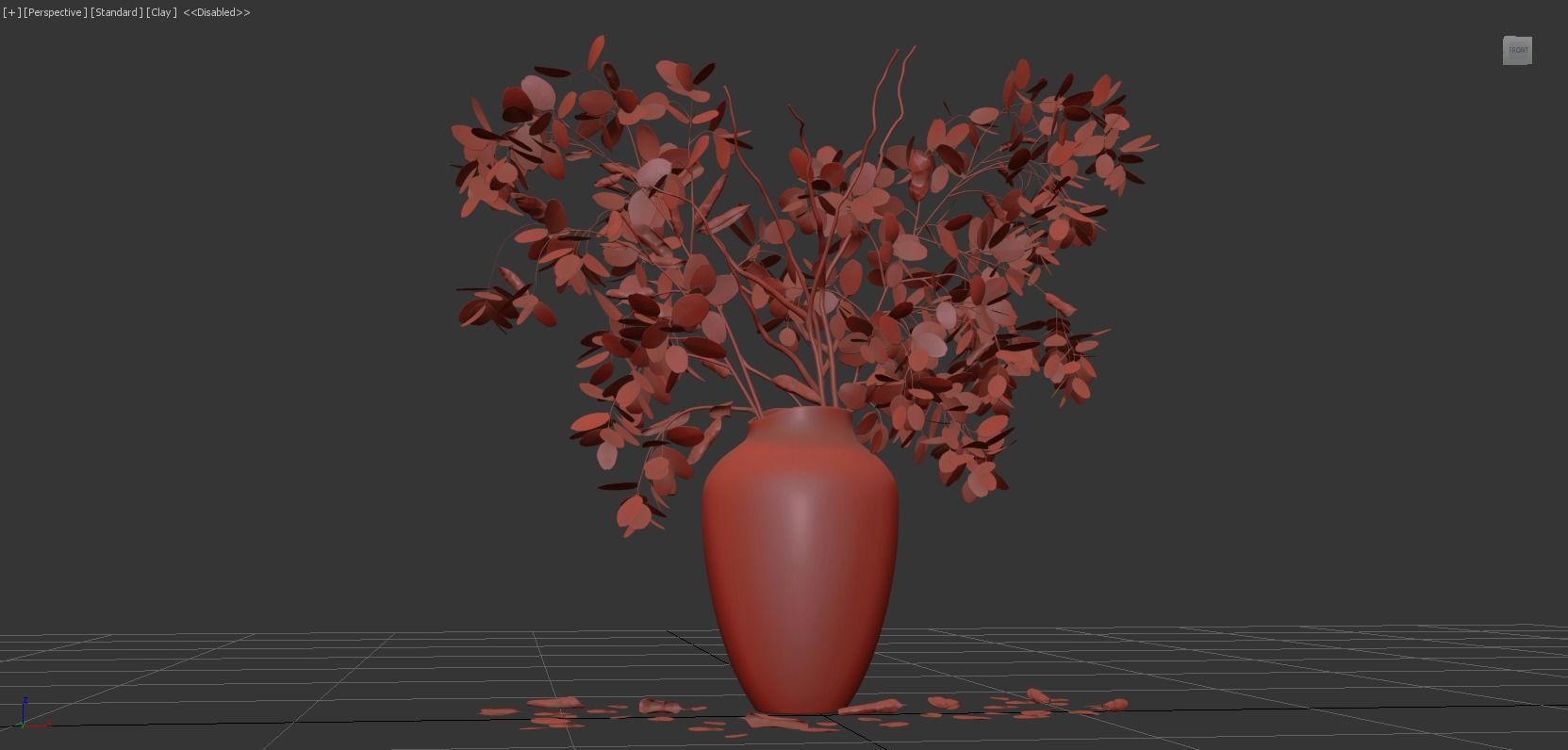 Eucalyptus Plant 3D model_7