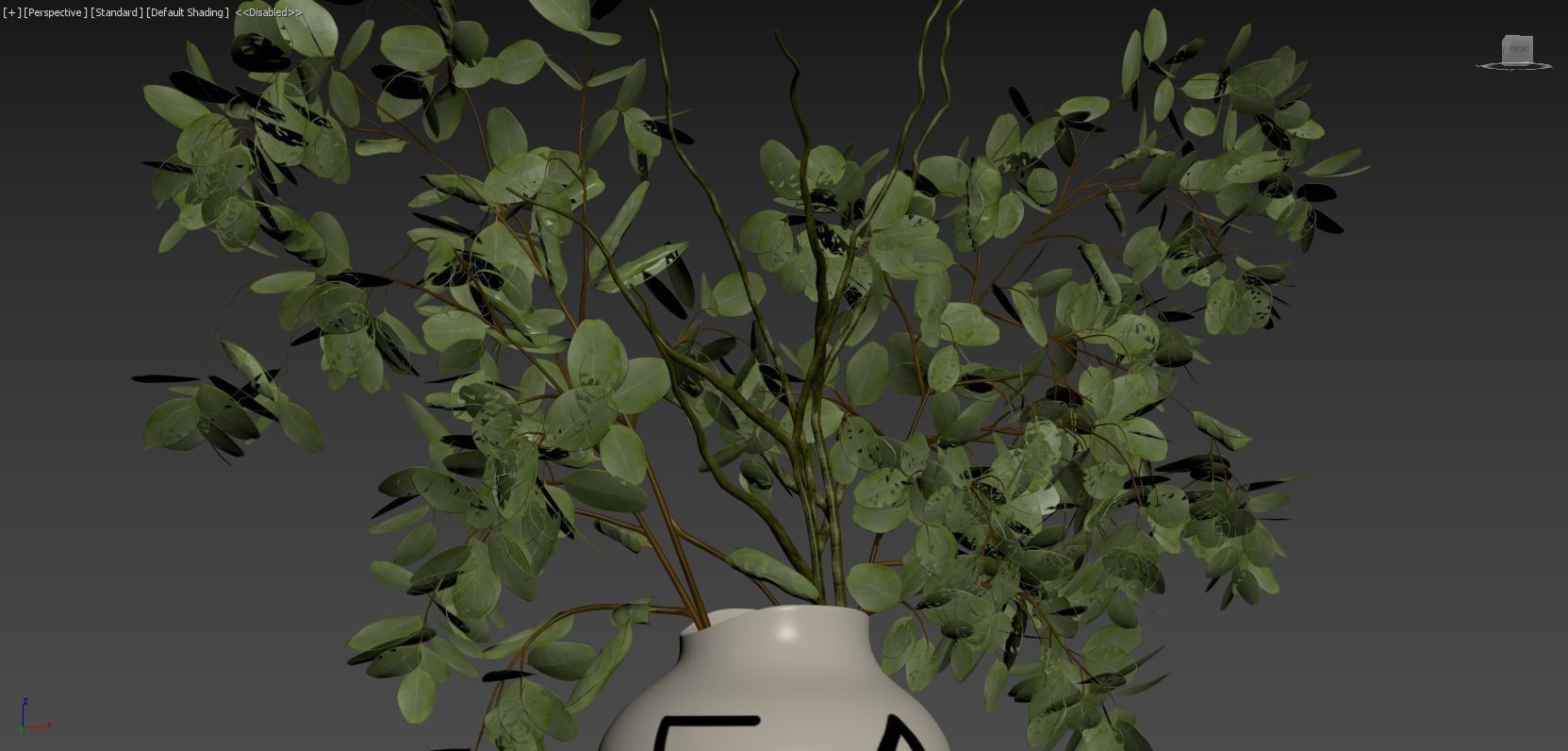 Eucalyptus Plant 3D model_6