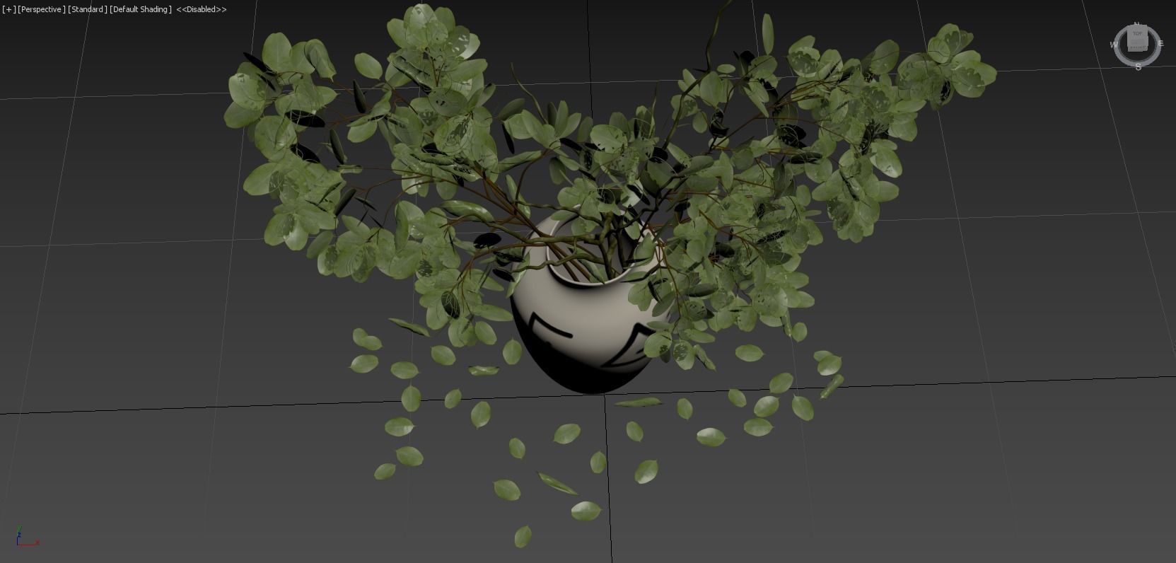 Eucalyptus Plant 3D model_5