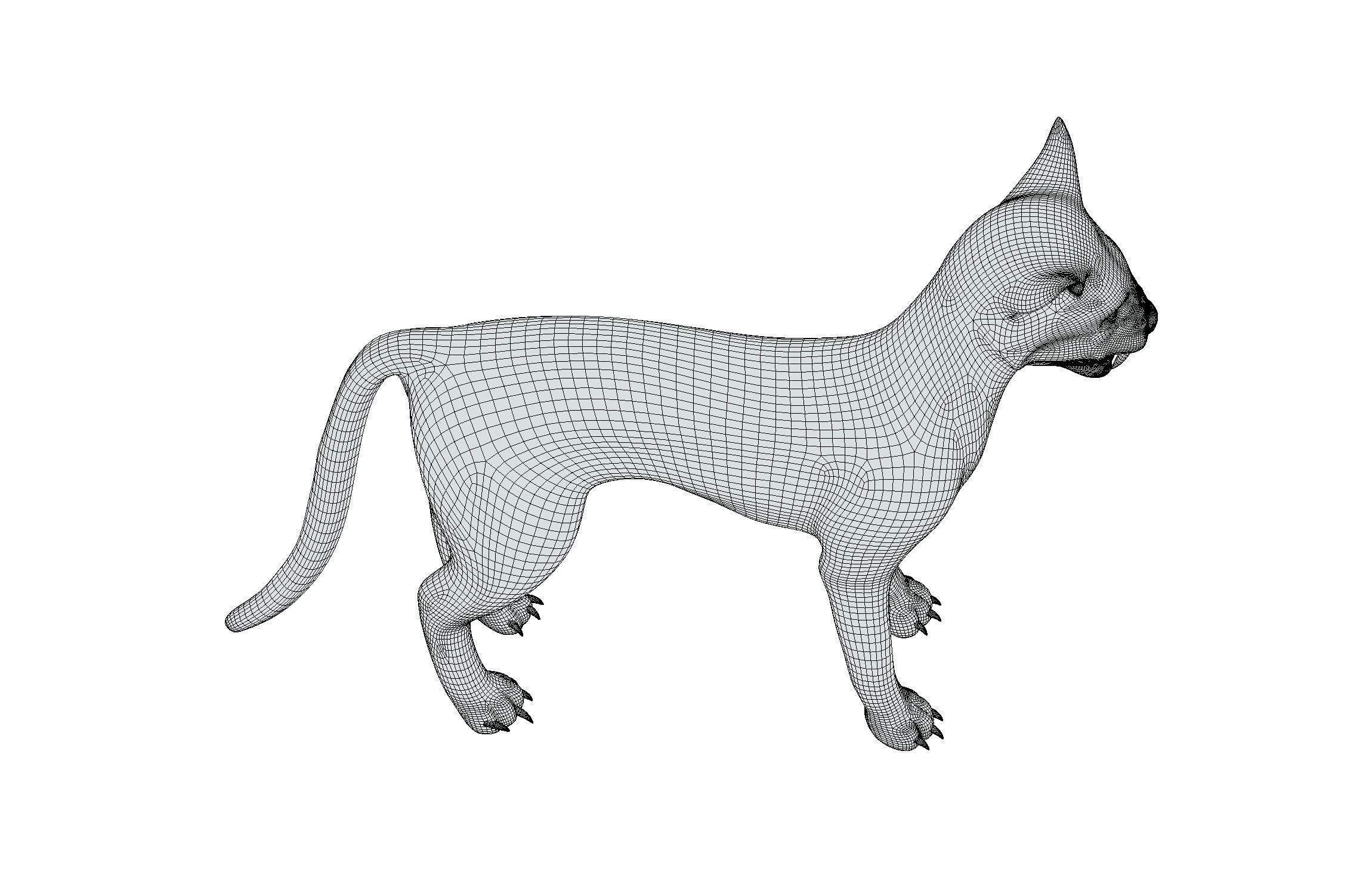 High Poly Realistic Cat Ravenous Serval 3D model_18