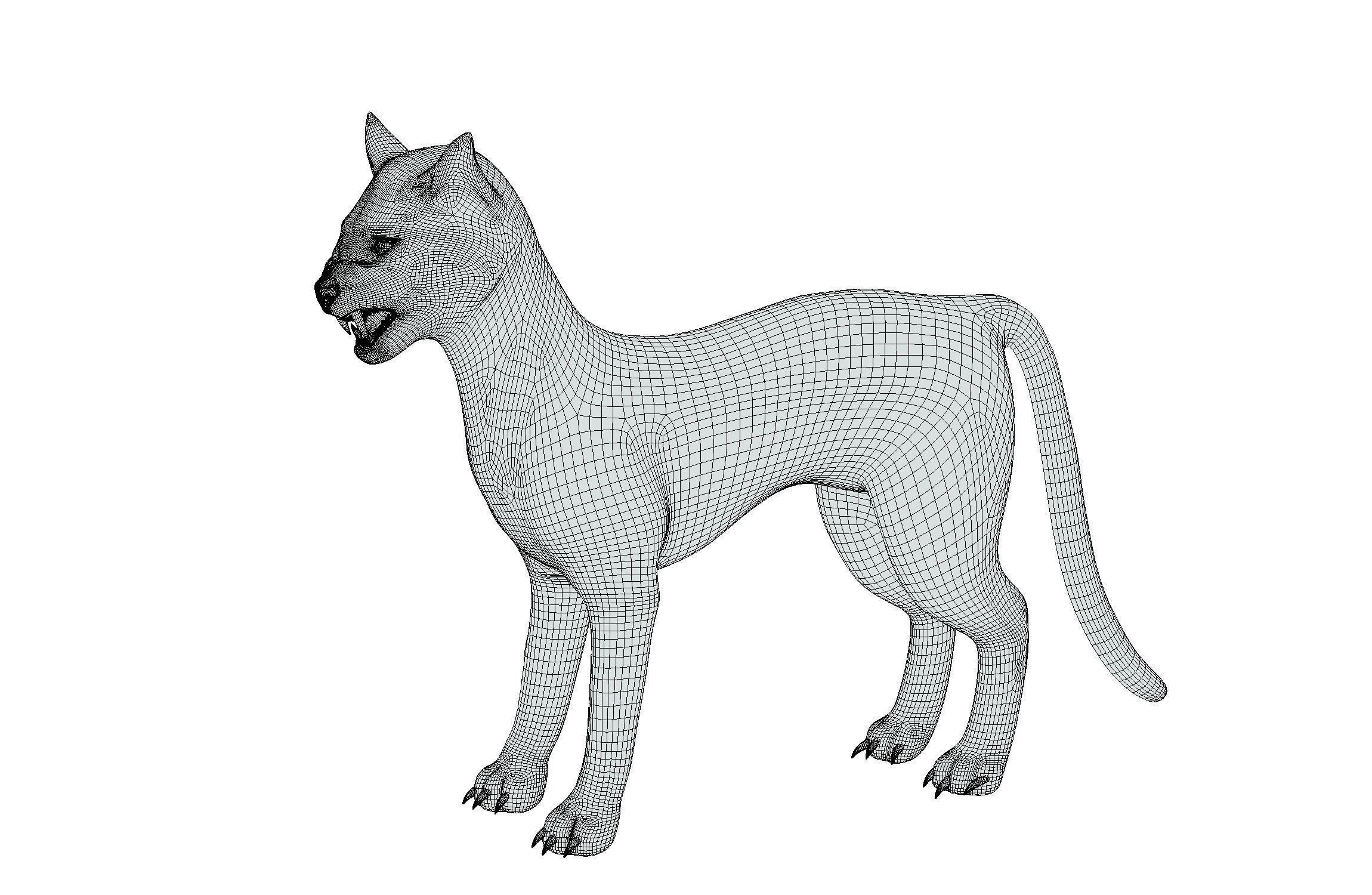 High Poly Realistic Cat Ravenous Serval 3D model_15