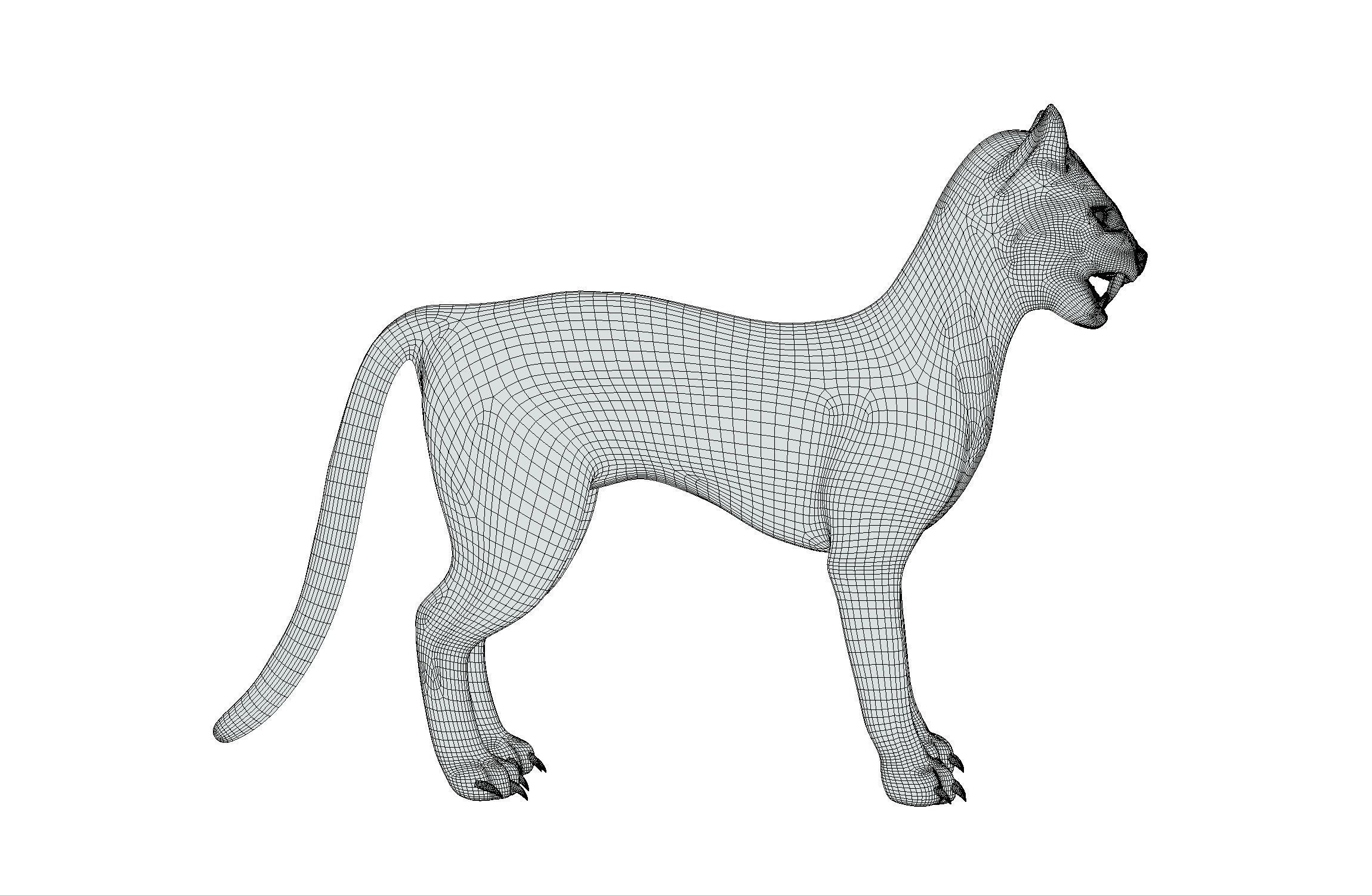 High Poly Realistic Cat Ravenous Serval 3D model_16