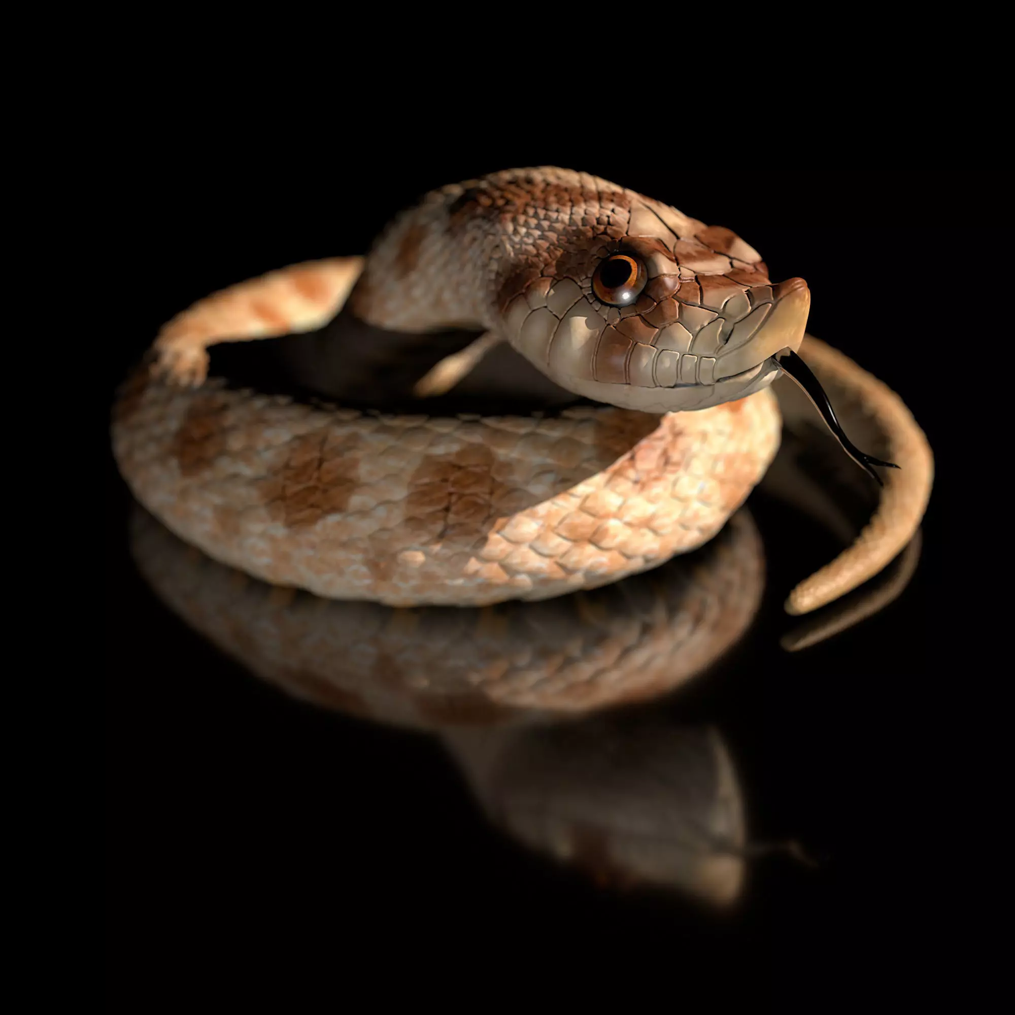 Hognose Snake - Heterodon Nasicus-Highpolygon 3D model fullsize 3D model