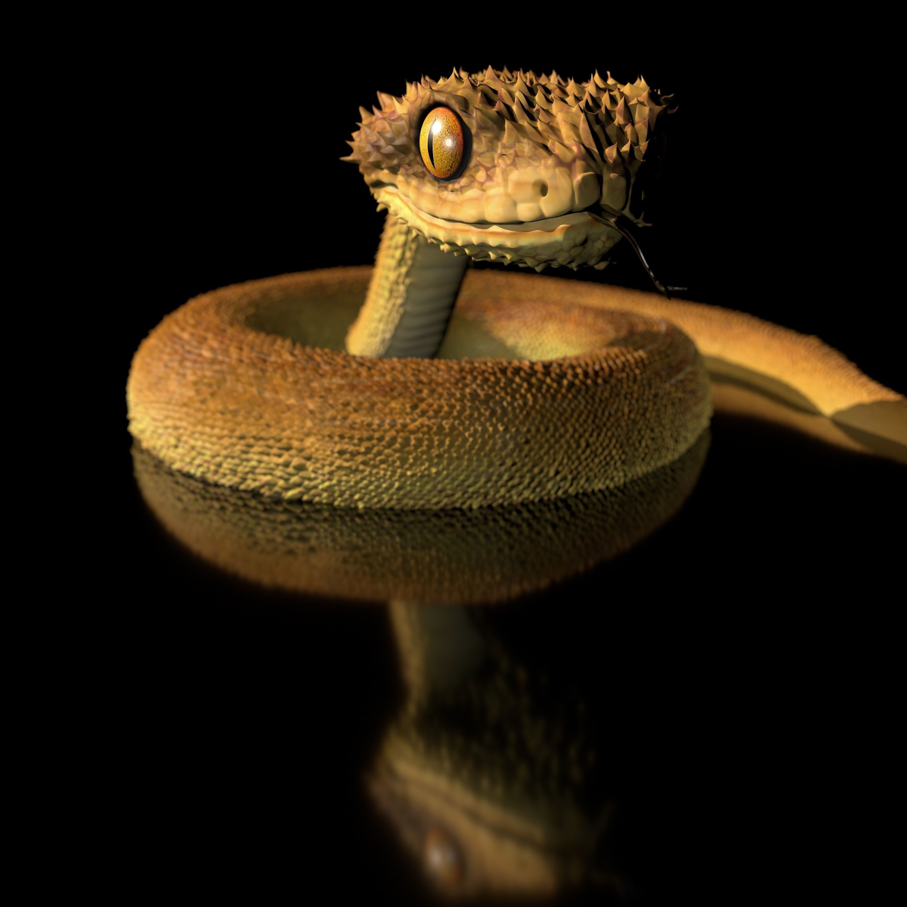 Atheris Snake-High-polygon 3D model full-size texture 3D model 3D ...
