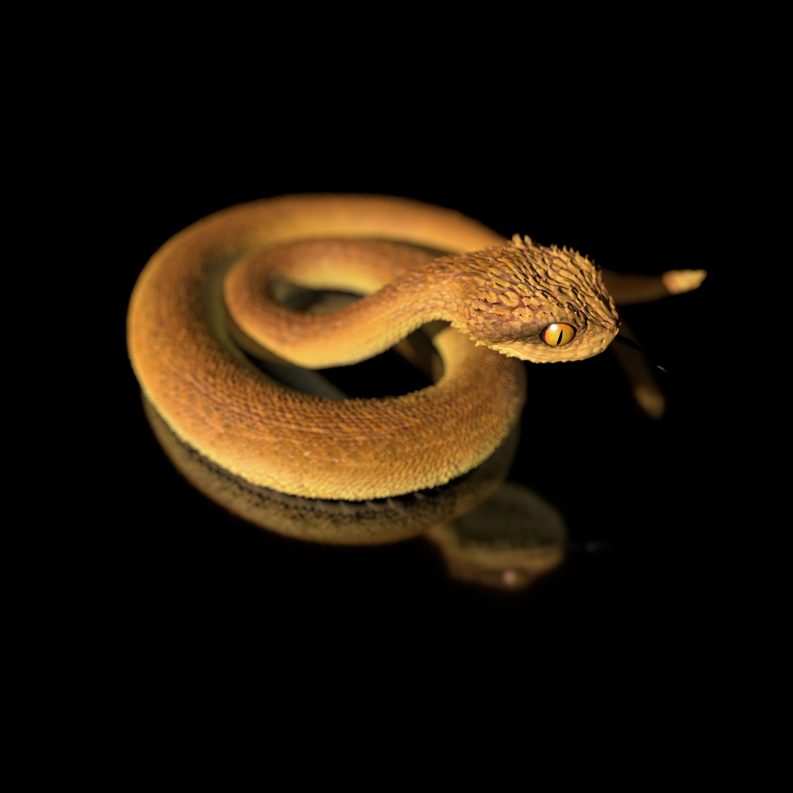 Atheris Snake-High-polygon 3D model full-size texture 3D model | CGTrader