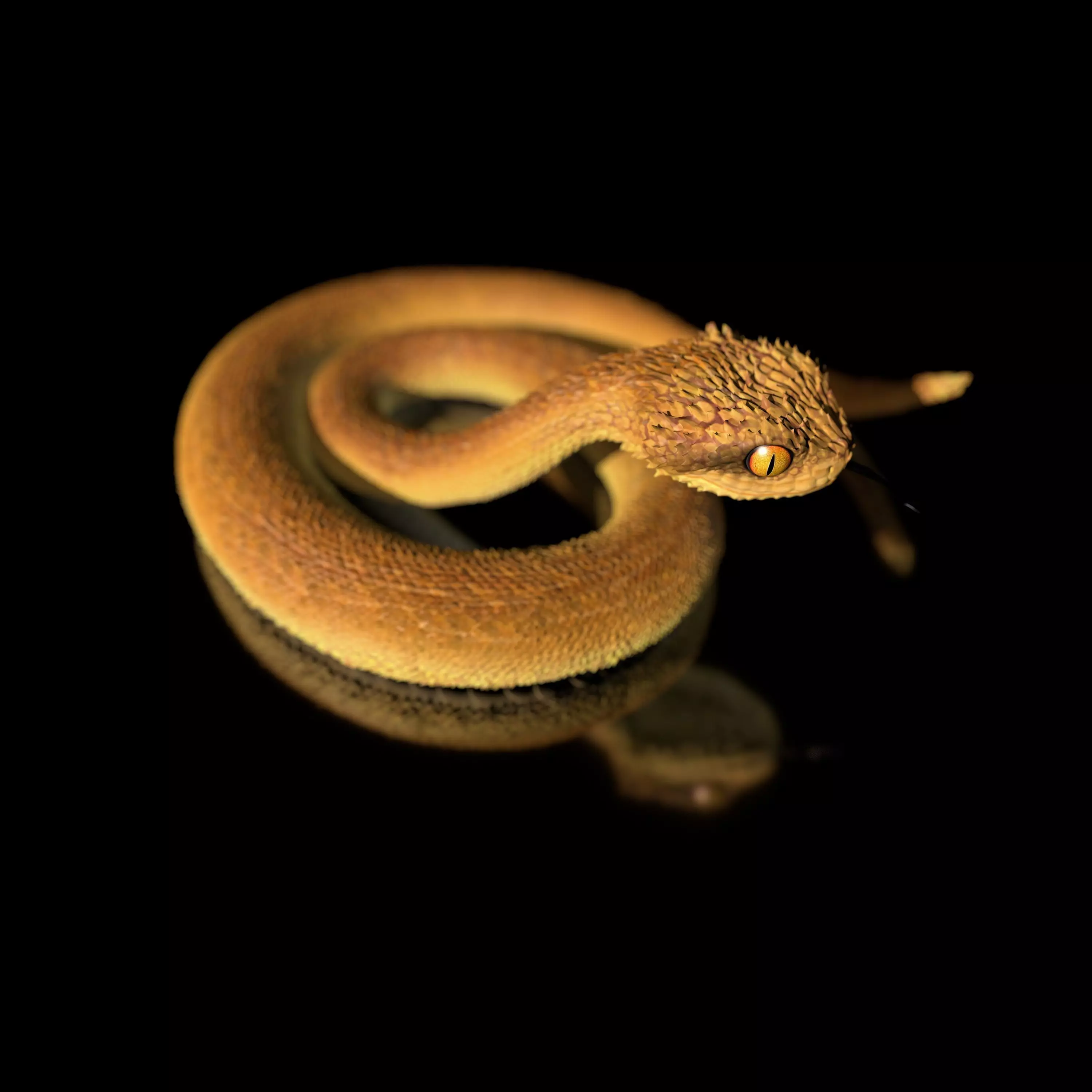 Atheris Snake-High-polygon 3D model full-size texture 3D model