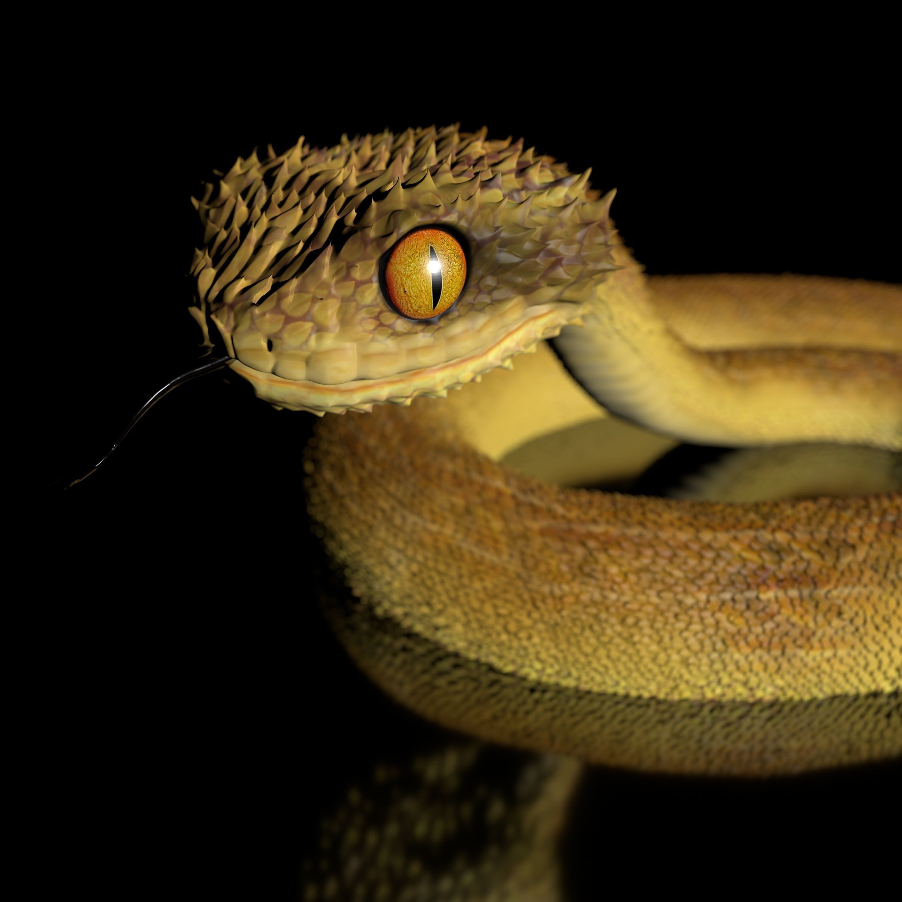 Atheris Snake-High-polygon 3D model full-size texture 3D model | CGTrader