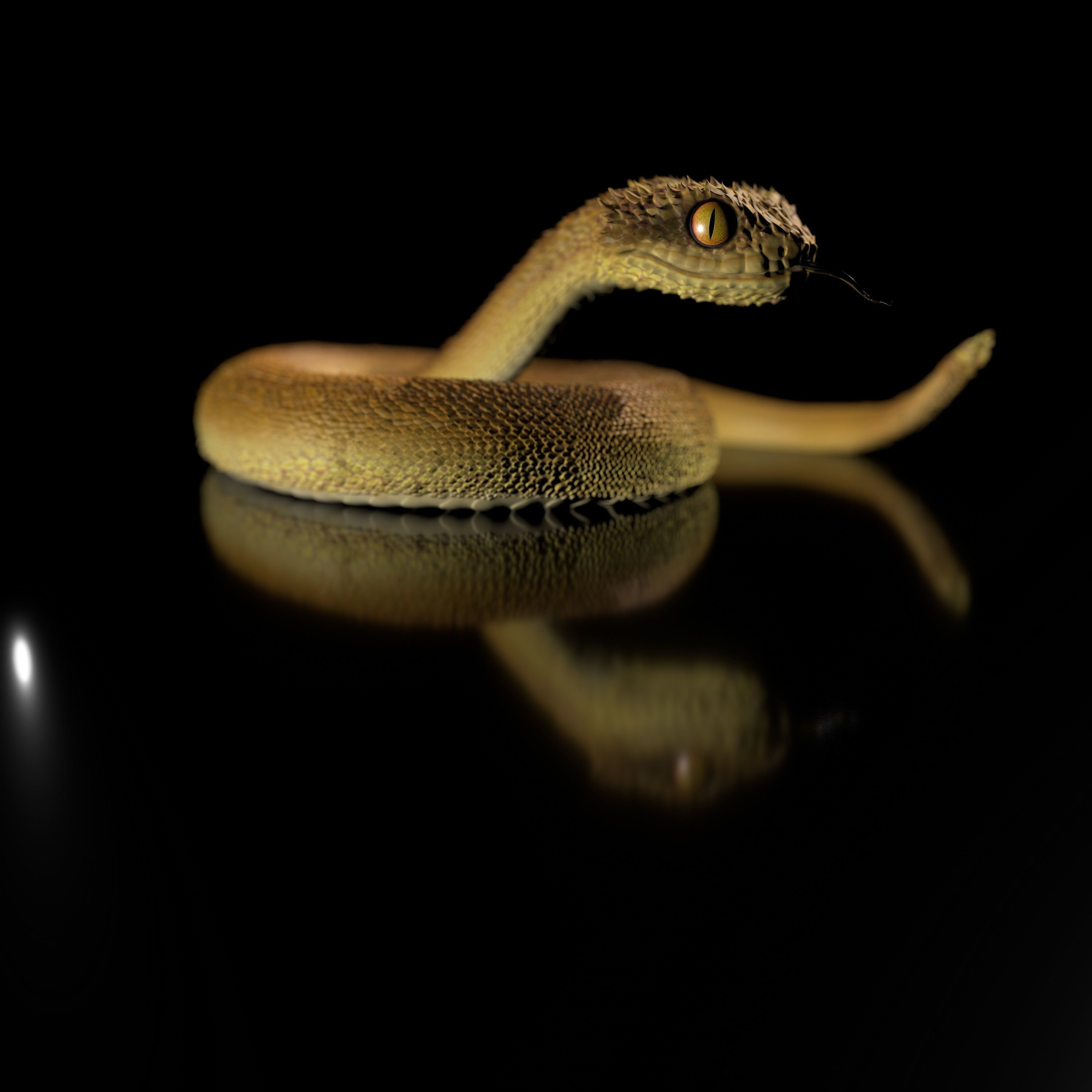 Atheris Snake-High-polygon 3D model full-size texture 3D model | CGTrader