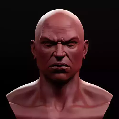 Male Bust 3D print model