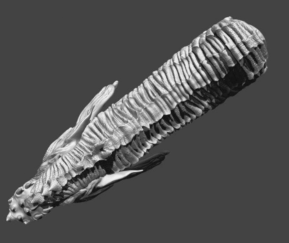 Dragon Head Pack 3D model_21