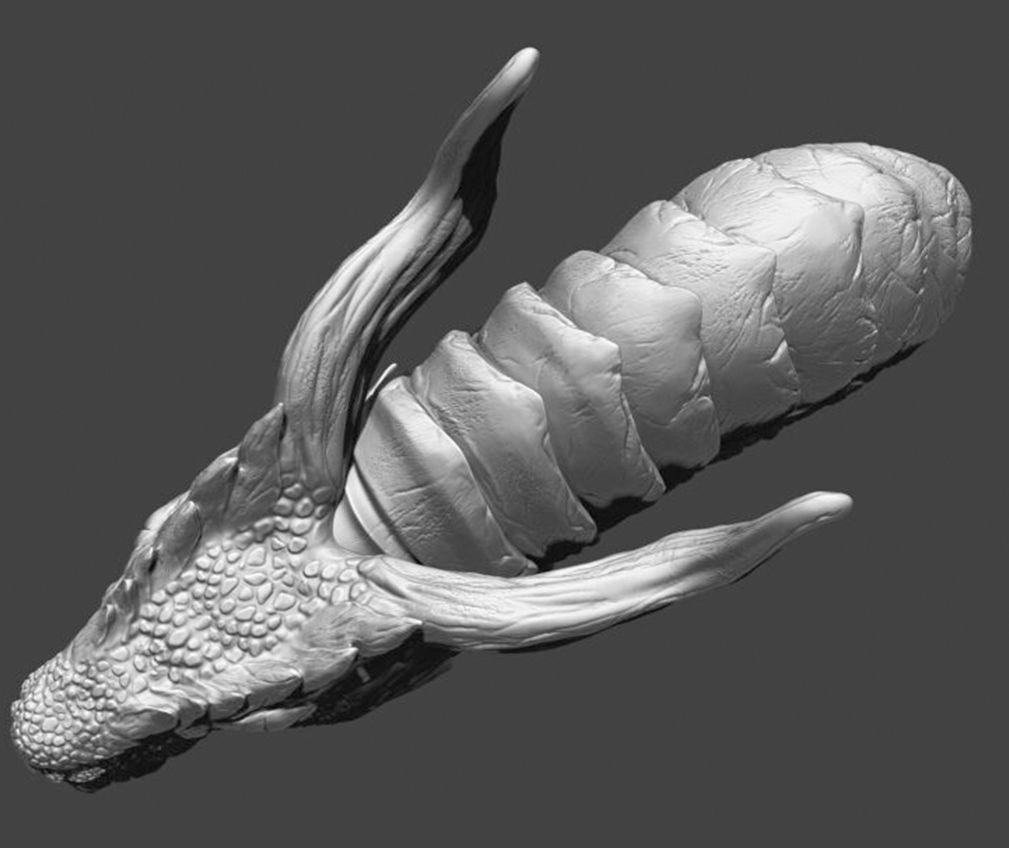 Dragon Head Pack 3D model_20