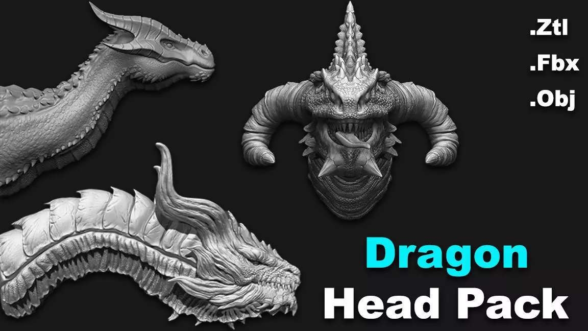 Dragon Head Pack 3D model_0