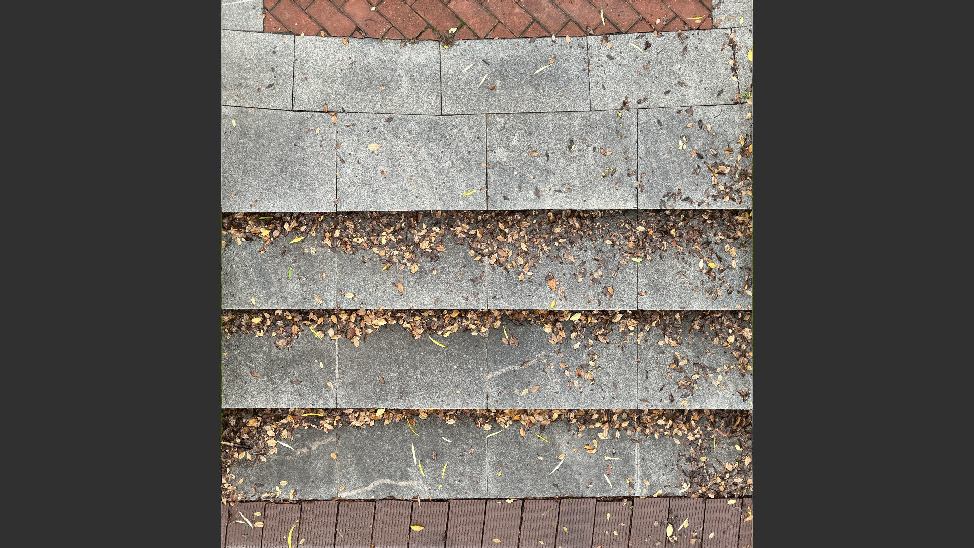 Steps with leaves in the park 3d scan 3D model_3