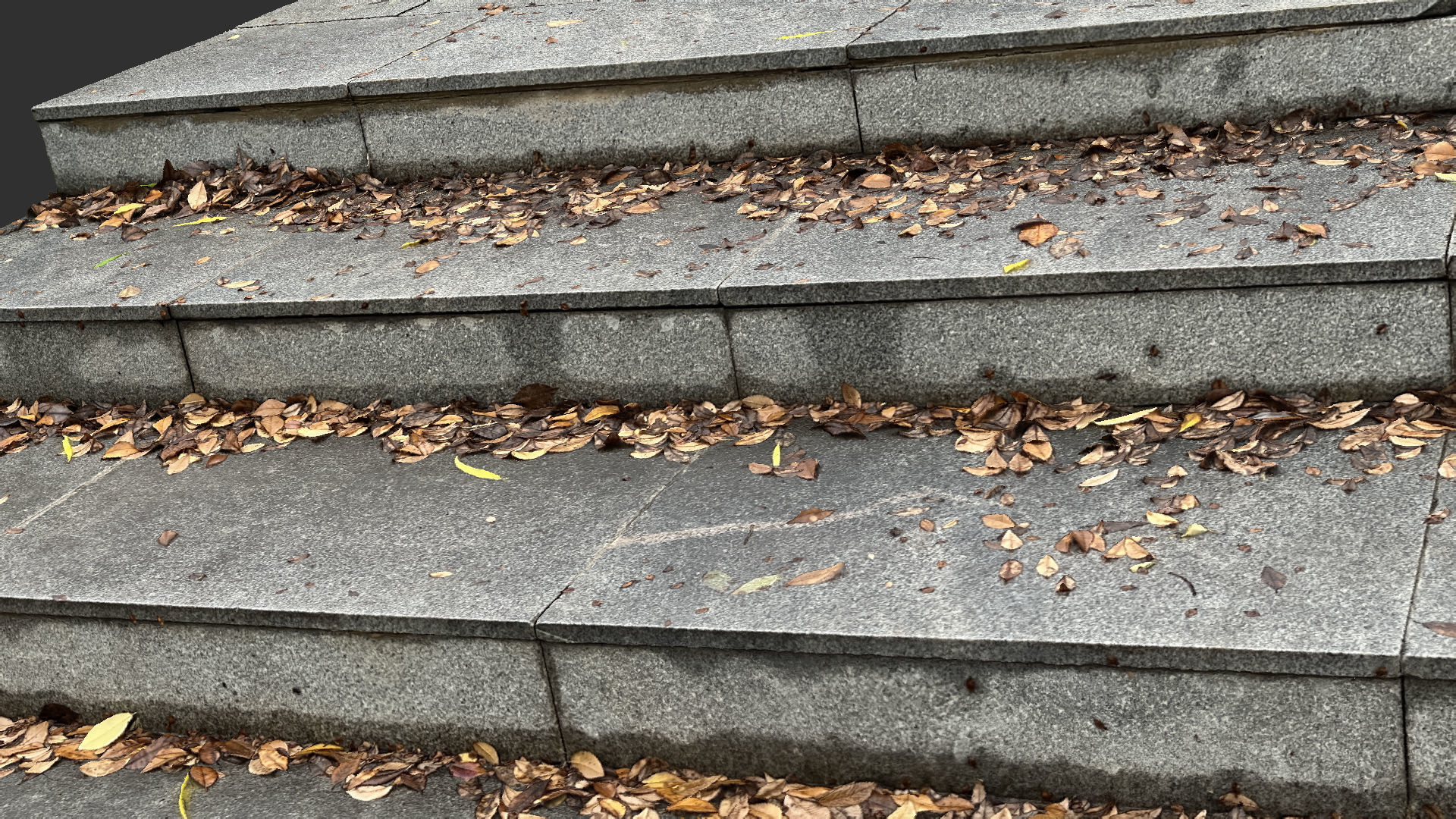 Steps with leaves in the park 3d scan 3D model_11