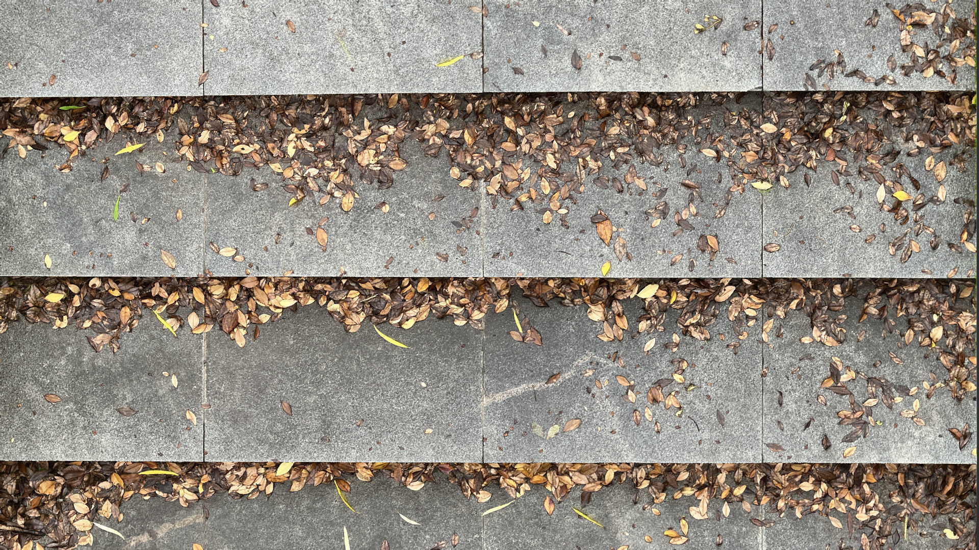 Steps with leaves in the park 3d scan 3D model_9