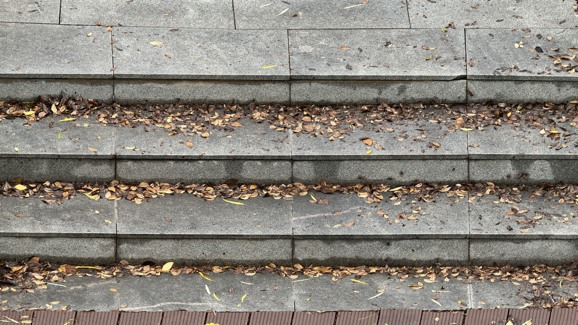 Steps with leaves in the park 3d scan 3D model_10