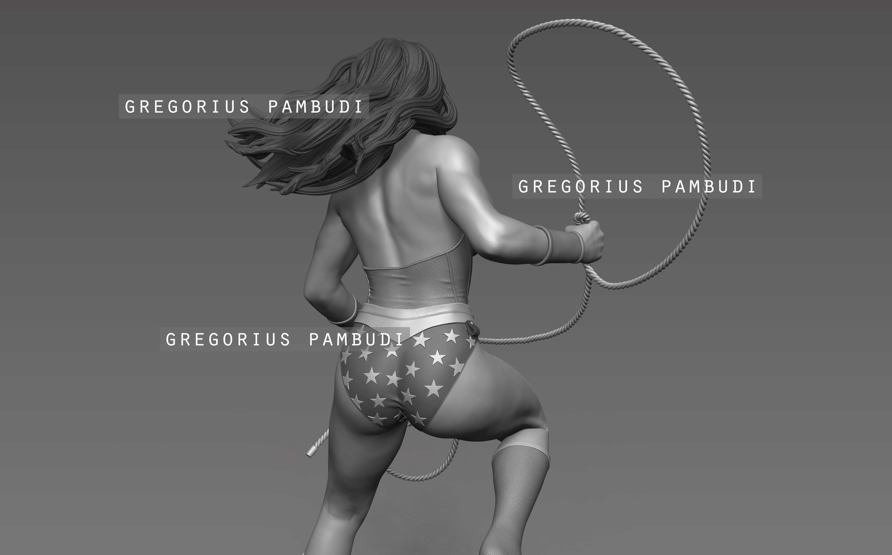 Wonder Woman Fan Art Statue 3d Printable 3D print model_26