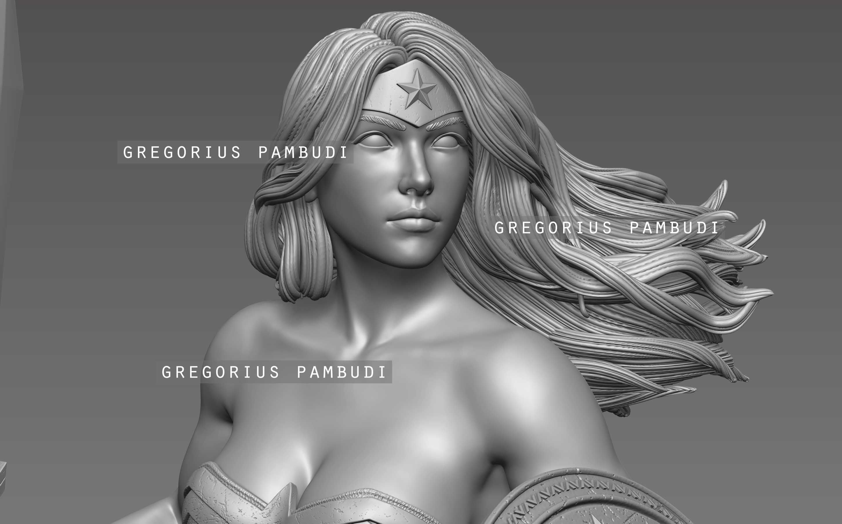 Wonder Woman Fan Art Statue 3d Printable 3D print model_34