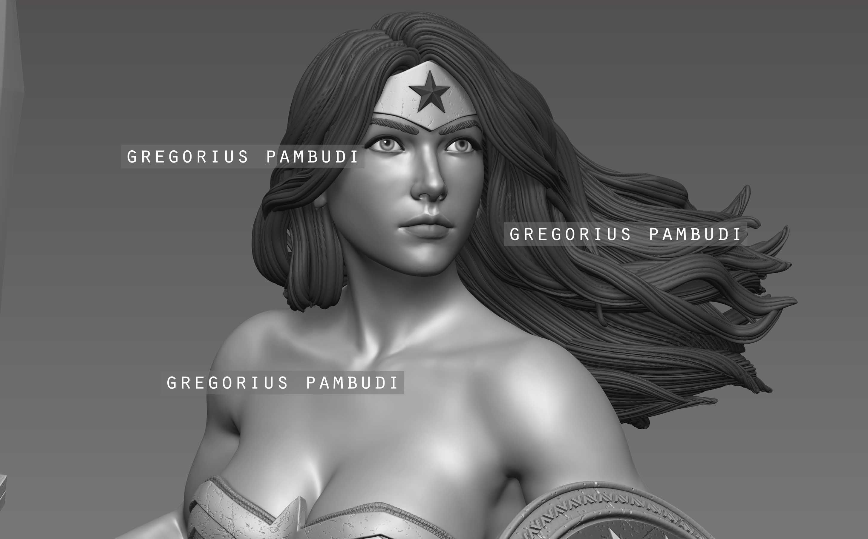 Wonder Woman Fan Art Statue 3d Printable 3D print model_33