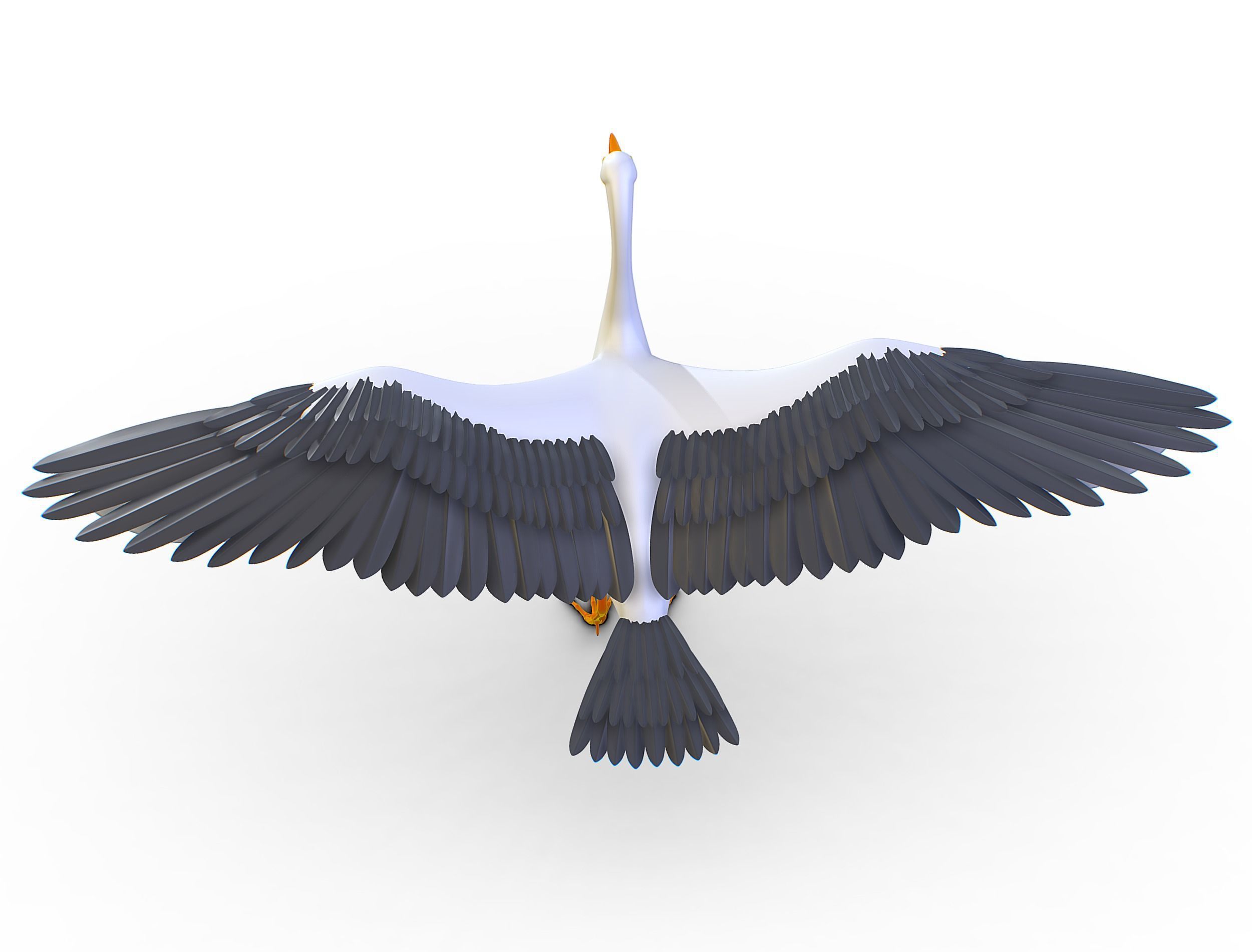 High Poly White Crane Bird Low-poly 3D model_8