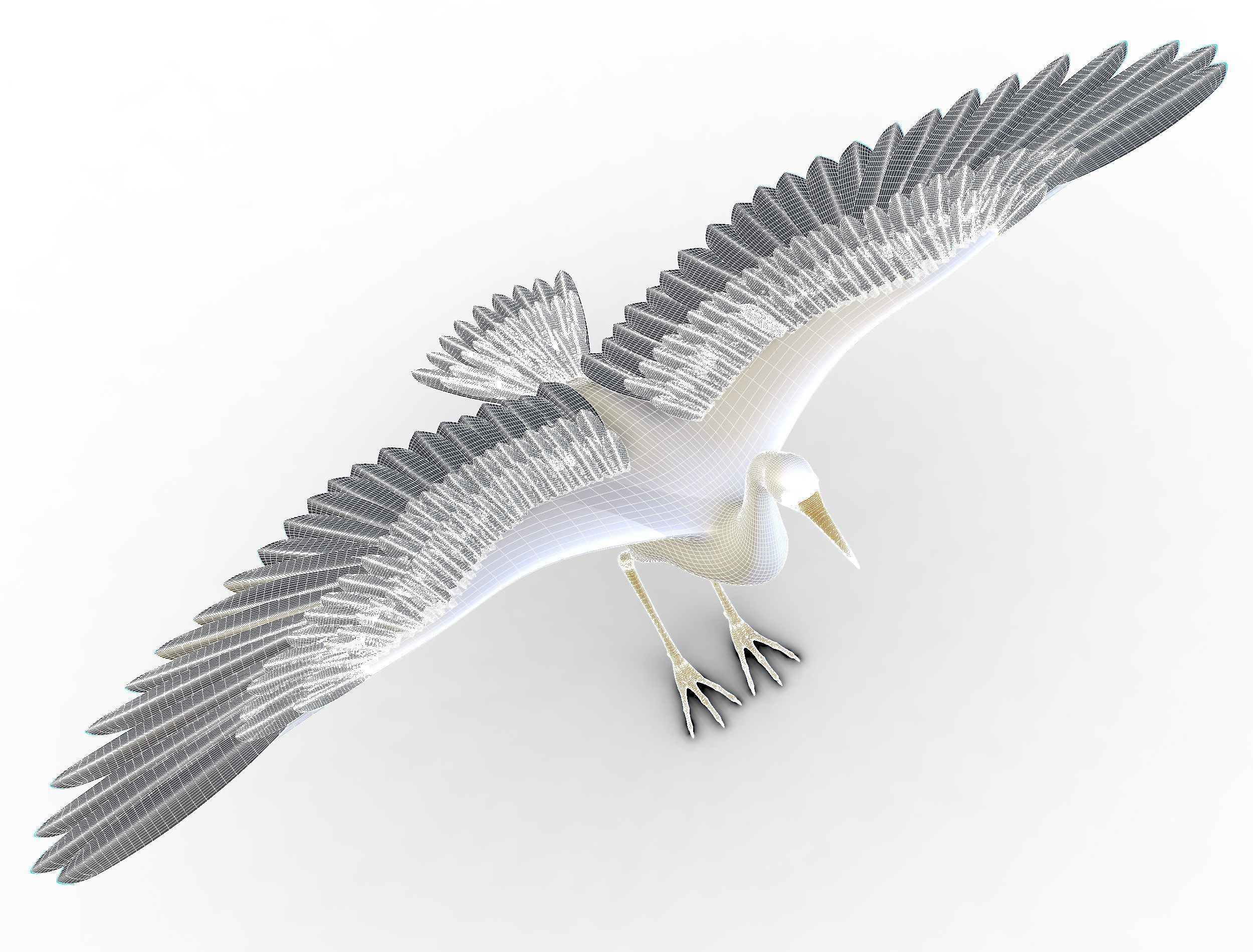 High Poly White Crane Bird Low-poly 3D model_24