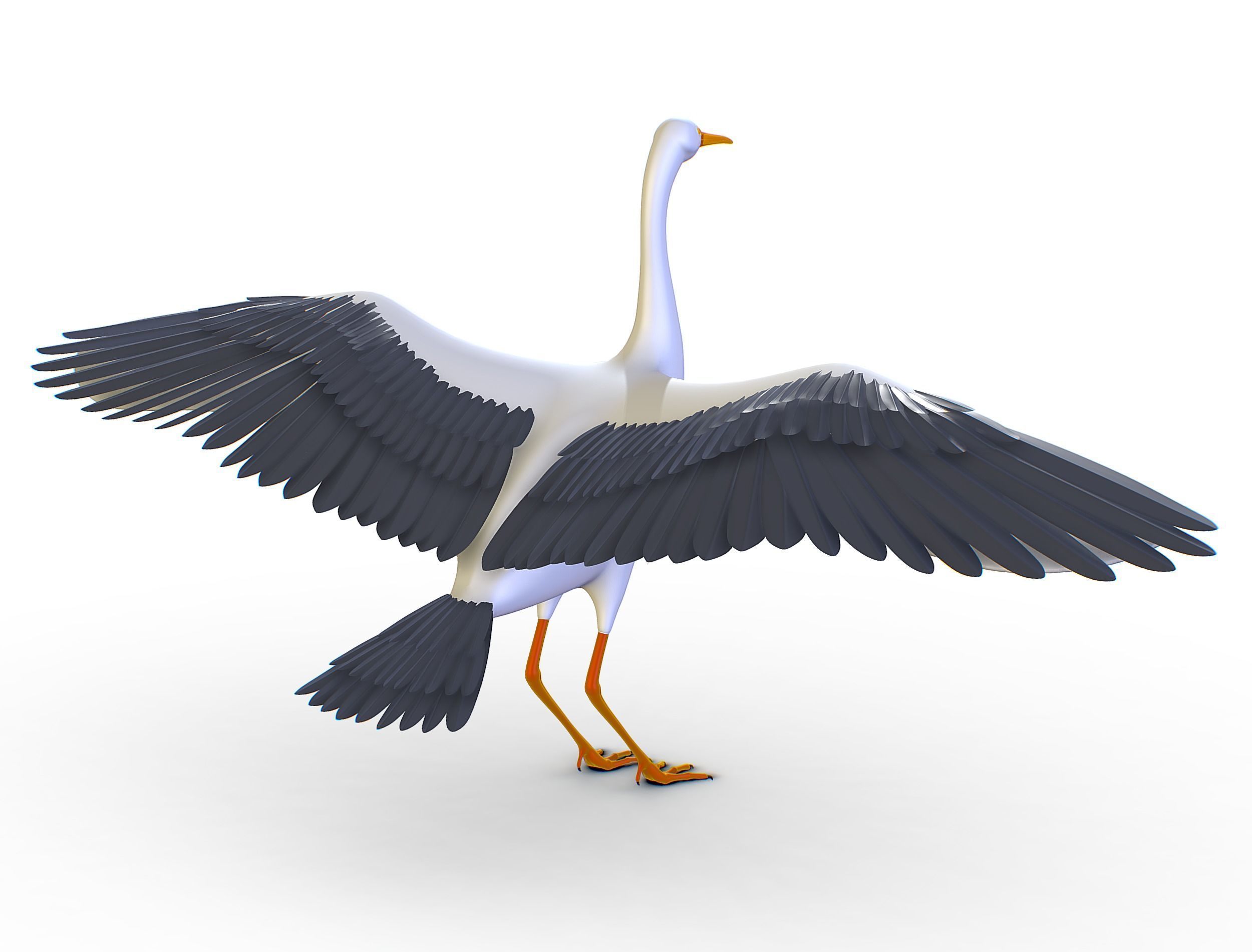 High Poly White Crane Bird Low-poly 3D model_19
