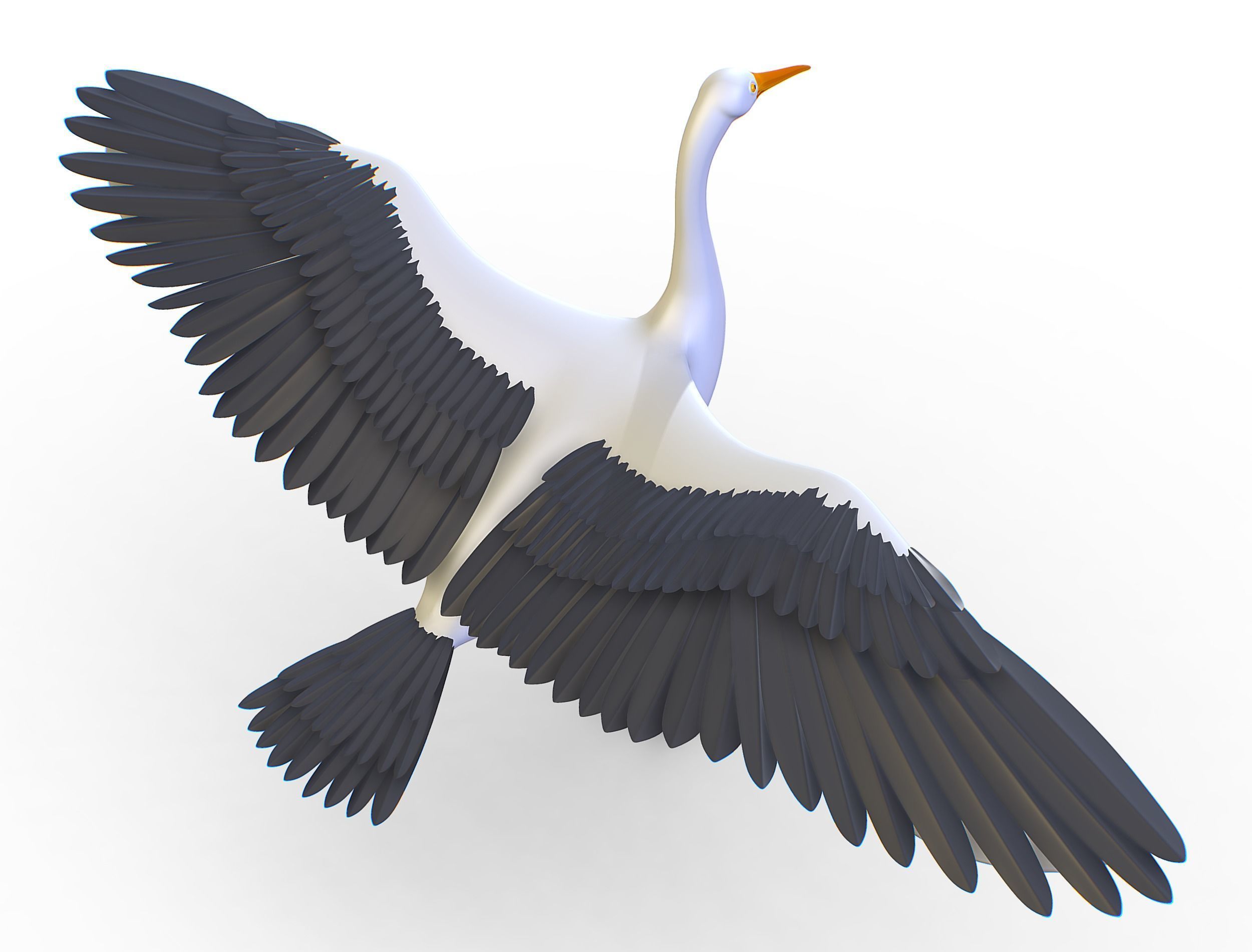 High Poly White Crane Bird Low-poly 3D model_9
